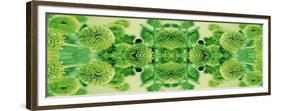 Green Flowers Kalidascope Effect-Tom Quartermaine-Framed Giclee Print