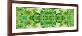 Green Flowers Kalidascope Effect-Tom Quartermaine-Framed Giclee Print