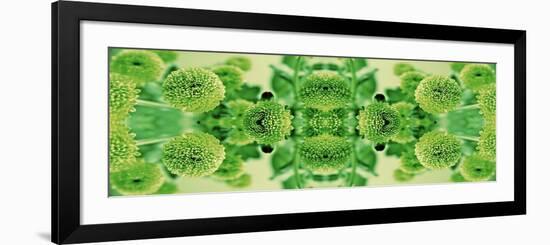 Green Flowers Kalidascope Effect-Tom Quartermaine-Framed Giclee Print