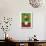 Green Flowers-Henri Rousseau-Premium Giclee Print displayed on a wall