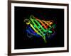 Green Fluorescent Protein, Computer Model-Dr. Tim Evans-Framed Photographic Print