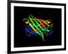 Green Fluorescent Protein, Computer Model-Dr. Tim Evans-Framed Photographic Print