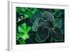 Green Foliage-null-Framed Photo