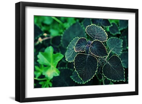 Photo, , large