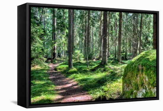 Green Forest Landscape in the Summer-Anna-Mari West-Framed Stretched Canvas