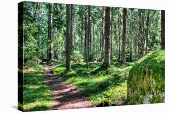 Green Forest Landscape in the Summer-Anna-Mari West-Stretched Canvas