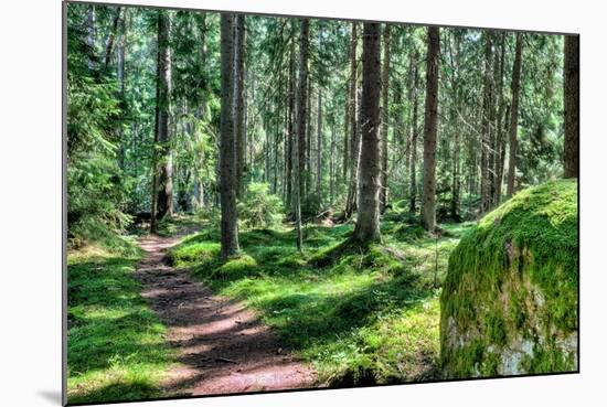 Green Forest Landscape in the Summer-Anna-Mari West-Mounted Photographic Print