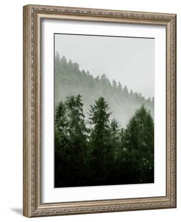 Green Forest-Tanya Shumkina-Framed Art Print