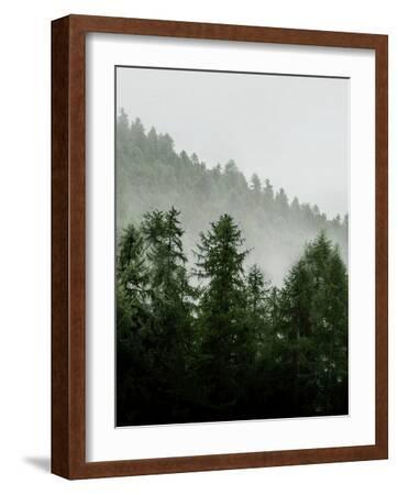 Green Forest-Tanya Shumkina-Framed Art Print