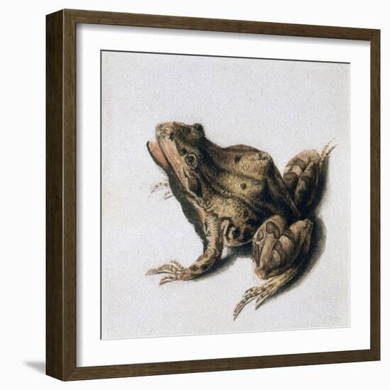 Green Frog, 16th Century-Joris Hoefnagel-Framed Giclee Print