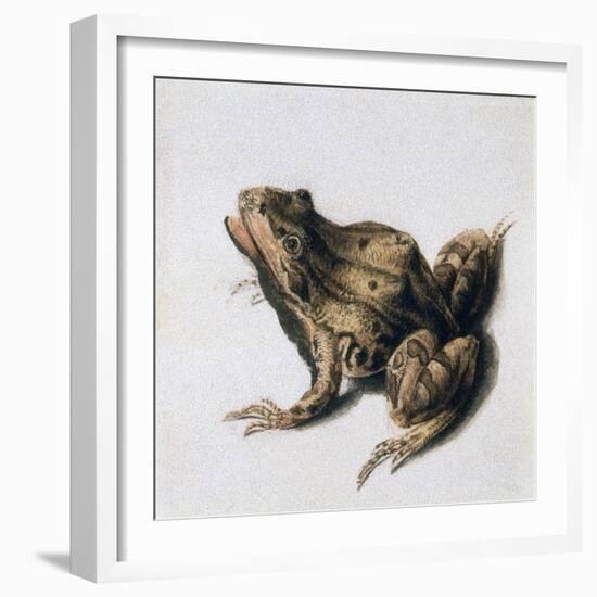 Green Frog, 16th Century-Joris Hoefnagel-Framed Giclee Print