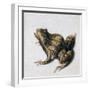 Green Frog, 16th Century-Joris Hoefnagel-Framed Giclee Print