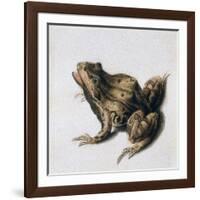 Green Frog, 16th Century-Joris Hoefnagel-Framed Giclee Print