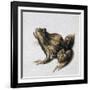 Green Frog, 16th Century-Joris Hoefnagel-Framed Giclee Print