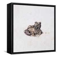 Green Frog, 16th Century-Joris Hoefnagel-Framed Stretched Canvas