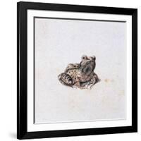 Green Frog, 16th Century-Joris Hoefnagel-Framed Giclee Print