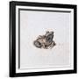 Green Frog, 16th Century-Joris Hoefnagel-Framed Giclee Print