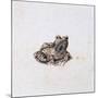 Green Frog, 16th Century-Joris Hoefnagel-Mounted Giclee Print