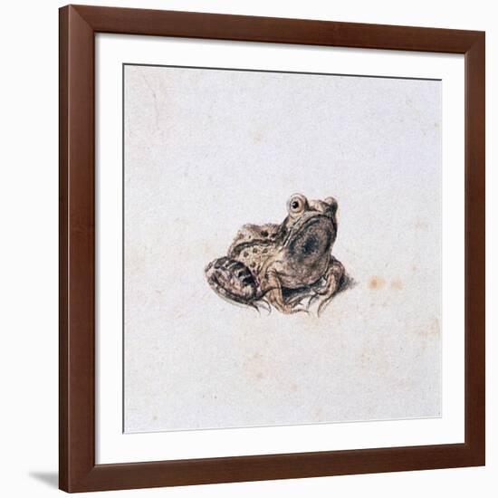 Green Frog, 16th Century-Joris Hoefnagel-Framed Giclee Print