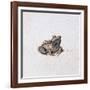 Green Frog, 16th Century-Joris Hoefnagel-Framed Giclee Print