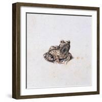 Green Frog, 16th Century-Joris Hoefnagel-Framed Giclee Print