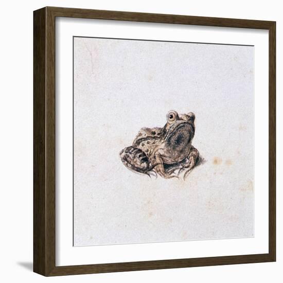 Green Frog, 16th Century-Joris Hoefnagel-Framed Giclee Print