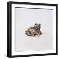 Green Frog, 16th Century-Joris Hoefnagel-Framed Giclee Print