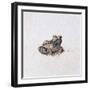 Green Frog, 16th Century-Joris Hoefnagel-Framed Giclee Print