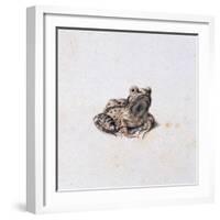 Green Frog, 16th Century-Joris Hoefnagel-Framed Giclee Print