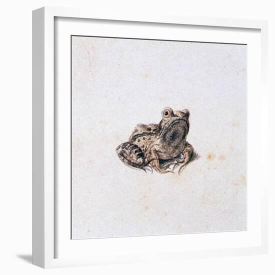 Green Frog, 16th Century-Joris Hoefnagel-Framed Giclee Print