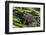 Green frog in the grass by Mattawamkeag River in Wytipitlock, Maine.-Jerry & Marcy Monkman-Framed Photographic Print