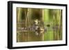 Green Frog with Inflated Vocal Sacs in Garden Pond-null-Framed Photographic Print