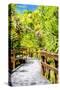 Green Gateway - In the Style of Oil Painting-Philippe Hugonnard-Stretched Canvas