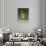 Green Glass Vase-null-Giclee Print displayed on a wall