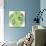 Green Globe Outline Made From Birds, Animals And Flowers Icons-Marish-Art Print displayed on a wall