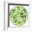 Green Globe Outline Made From Birds, Animals And Flowers Icons-Marish-Framed Art Print