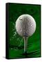 Green Golf Ball Splash-Steve Gadomski-Framed Stretched Canvas