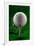 Green Golf Ball Splash-Steve Gadomski-Framed Photographic Print