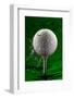 Green Golf Ball Splash-Steve Gadomski-Framed Photographic Print