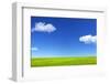 Green Grass and Blue Sky-Marina Pissarova-Framed Photographic Print