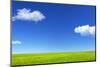 Green Grass and Blue Sky-Marina Pissarova-Mounted Photographic Print