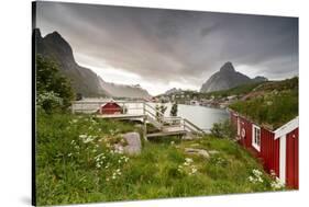 Green Grass and Flowers Frame the Typical Rorbu Surrounded by Sea, Reine, Nordland County-Roberto Moiola-Stretched Canvas