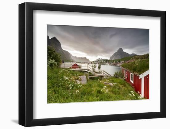 Green Grass and Flowers Frame the Typical Rorbu Surrounded by Sea, Reine, Nordland County-Roberto Moiola-Framed Photographic Print