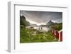 Green Grass and Flowers Frame the Typical Rorbu Surrounded by Sea, Reine, Nordland County-Roberto Moiola-Framed Photographic Print