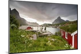 Green Grass and Flowers Frame the Typical Rorbu Surrounded by Sea, Reine, Nordland County-Roberto Moiola-Mounted Photographic Print