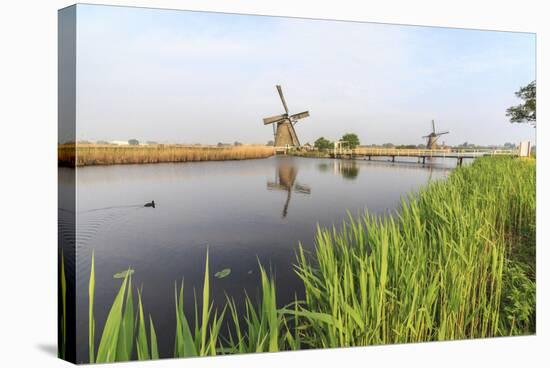 Green Grass Frames the Windmills Reflected in the Canal, Netherlands-Roberto Moiola-Stretched Canvas