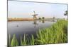 Green Grass Frames the Windmills Reflected in the Canal, Netherlands-Roberto Moiola-Mounted Photographic Print