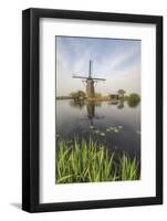 Green Grass Frames the Windmills Reflected in the Canal, Netherlands-Roberto Moiola-Framed Photographic Print