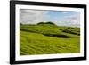 Green grass pasture land near Waimea, Big Island, Hawaii-Mark A Johnson-Framed Photographic Print