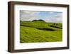 Green grass pasture land near Waimea, Big Island, Hawaii-Mark A Johnson-Framed Photographic Print